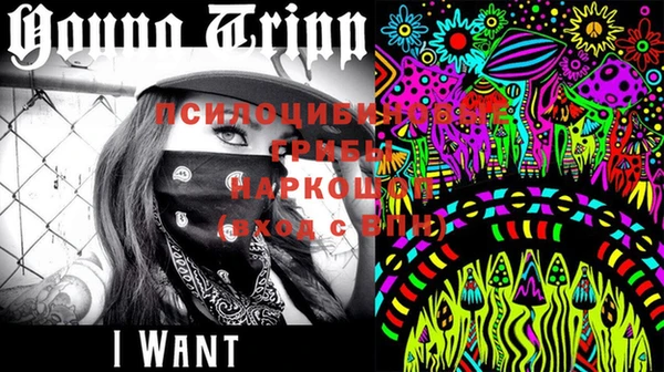 PSILOCYBIN Рославль