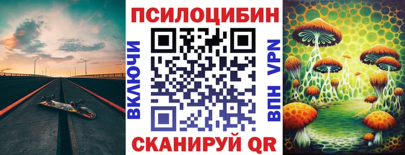 Купить закладки  Черноголовка  Псилоцибиновые грибы Psilocybe 